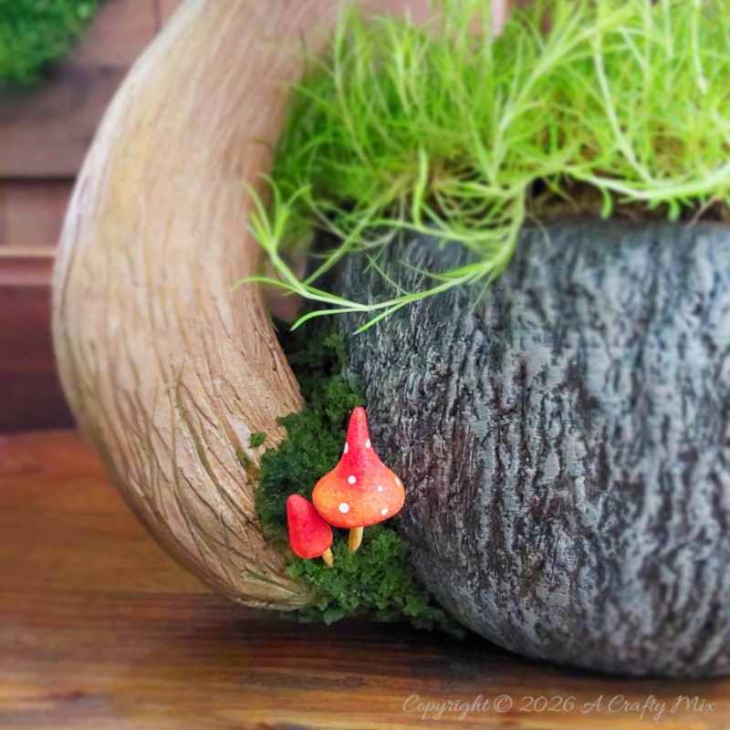 Don&rsquo;t toss that broken mug just yet &ndash; give it a fantasy planter upcycle. In this easy DIY I&rsquo;ll show you how to hide a missing ear with a sculpted mushroom stalk, add a bark textured exterior and top it all off with a spotted toadstool that keeps the moss looking like a tiny forest floor.