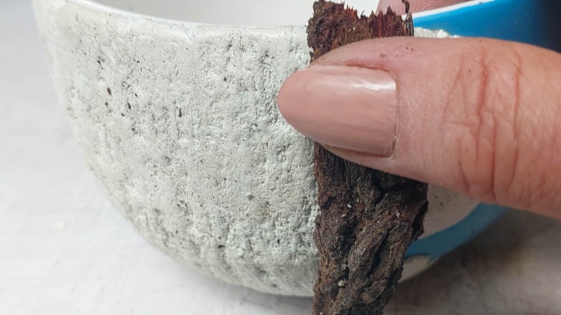 Use a piece of bark to create texture in the clay