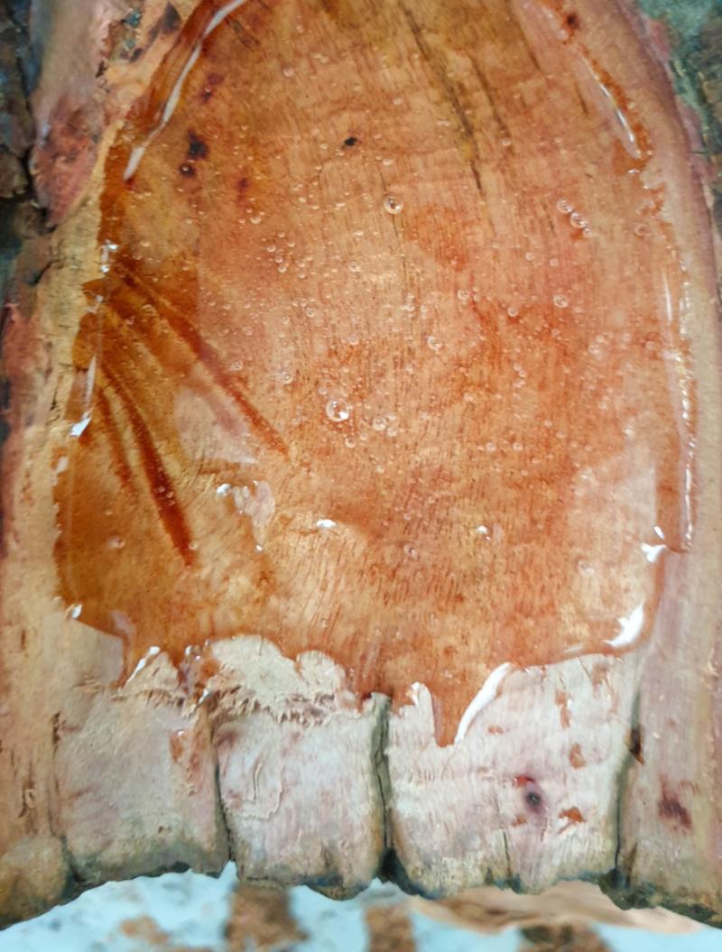 Add glue inside the carved area.