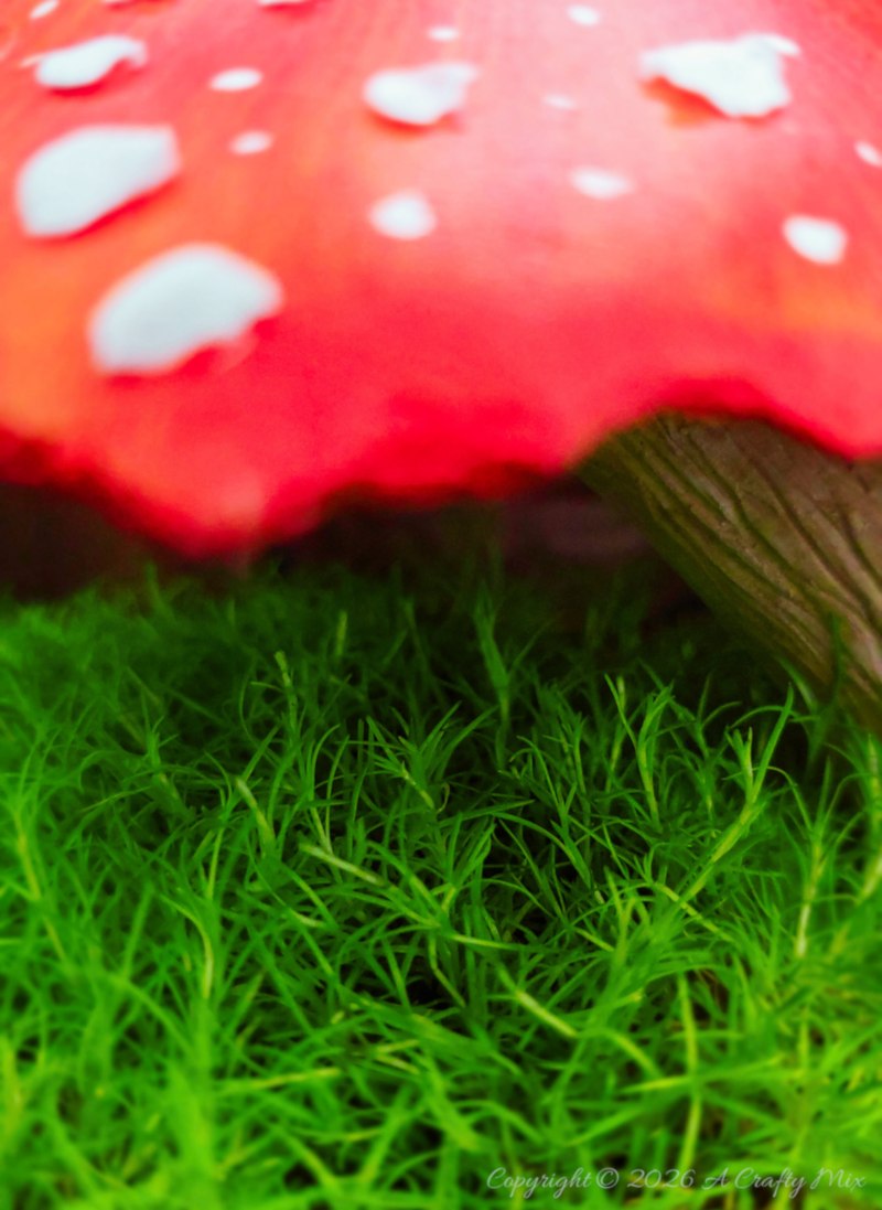 Don&rsquo;t toss that broken mug just yet &ndash; give it a fantasy planter upcycle. In this easy DIY I&rsquo;ll show you how to hide a missing ear with a sculpted mushroom stalk, add a bark textured exterior and top it all off with a spotted toadstool that keeps the moss looking like a tiny forest floor.