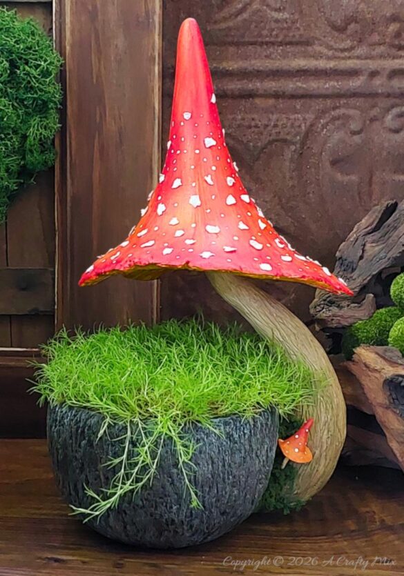 Don’t toss that broken mug just yet – give it a fantasy planter upcycle. In this easy DIY I’ll show you how to hide a missing ear with a sculpted mushroom stalk, add a bark textured exterior and top it all off with a spotted toadstool that keeps the moss looking like a tiny forest floor.