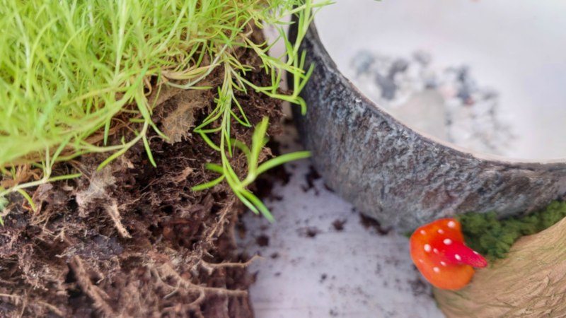 Plant moss or other low growing plants in the fantasy mushroom planter.