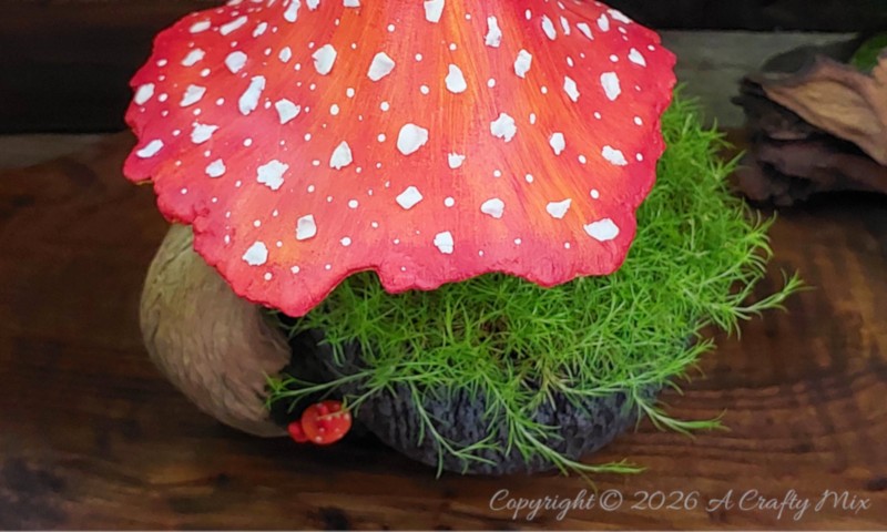 Don&rsquo;t toss that broken mug just yet &ndash; give it a fantasy planter upcycle. In this easy DIY I&rsquo;ll show you how to hide a missing ear with a sculpted mushroom stalk, add a bark textured exterior and top it all off with a spotted toadstool that keeps the moss looking like a tiny forest floor.