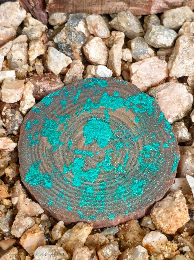Small wooden stepping stone leading to the medieval fairy door