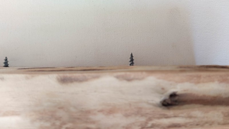 A close up of a shelf with a wood screw poking out of the top