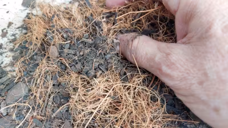 Hand mixing a chunky potting soil with loose strands of coconut coir, showing a textured, airy planting mix up close.
