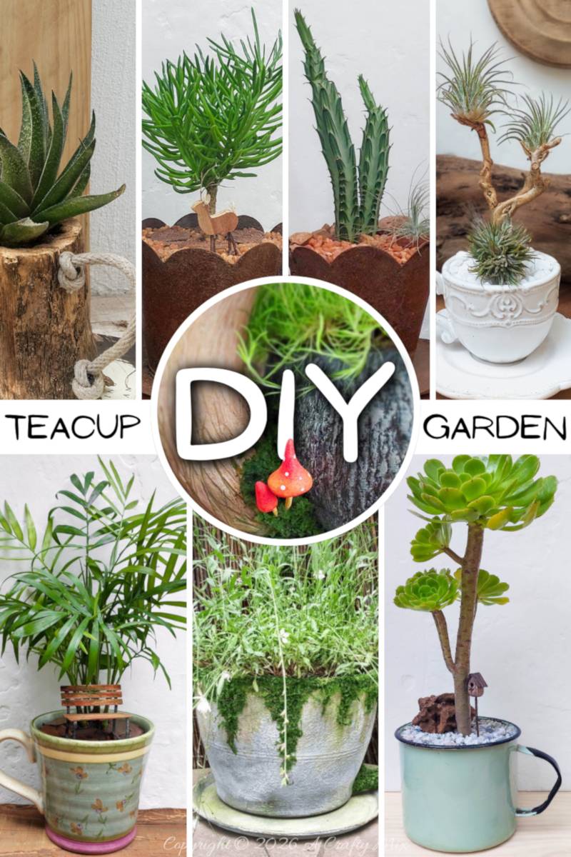 Discover unique ways to turn simple mugs and teacups into miniature worlds&mdash;think tiny benches, tree‑like succulents, air plants, and even a fairy‑tale mushroom planter. Perfect weekend DIY for anyone who loves plants and charming upcycled decor.