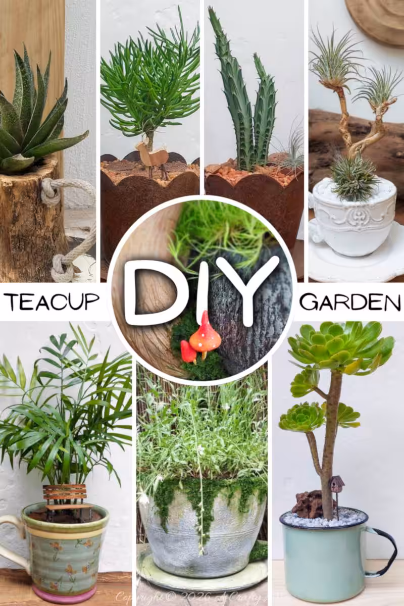 Discover unique ways to turn simple mugs and teacups into miniature worlds&mdash;think tiny benches, tree‑like succulents, air plants, and even a fairy‑tale mushroom planter. Perfect weekend DIY for anyone who loves plants and charming upcycled decor.
