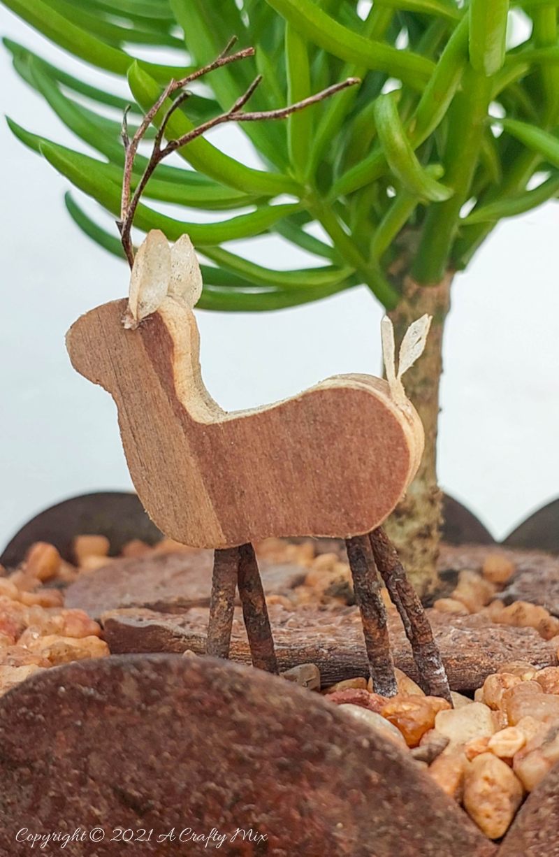 A tiny wooden reindeer takes shelter under a pruned, Lemon Bean Bush (Senecio barbertonicus).