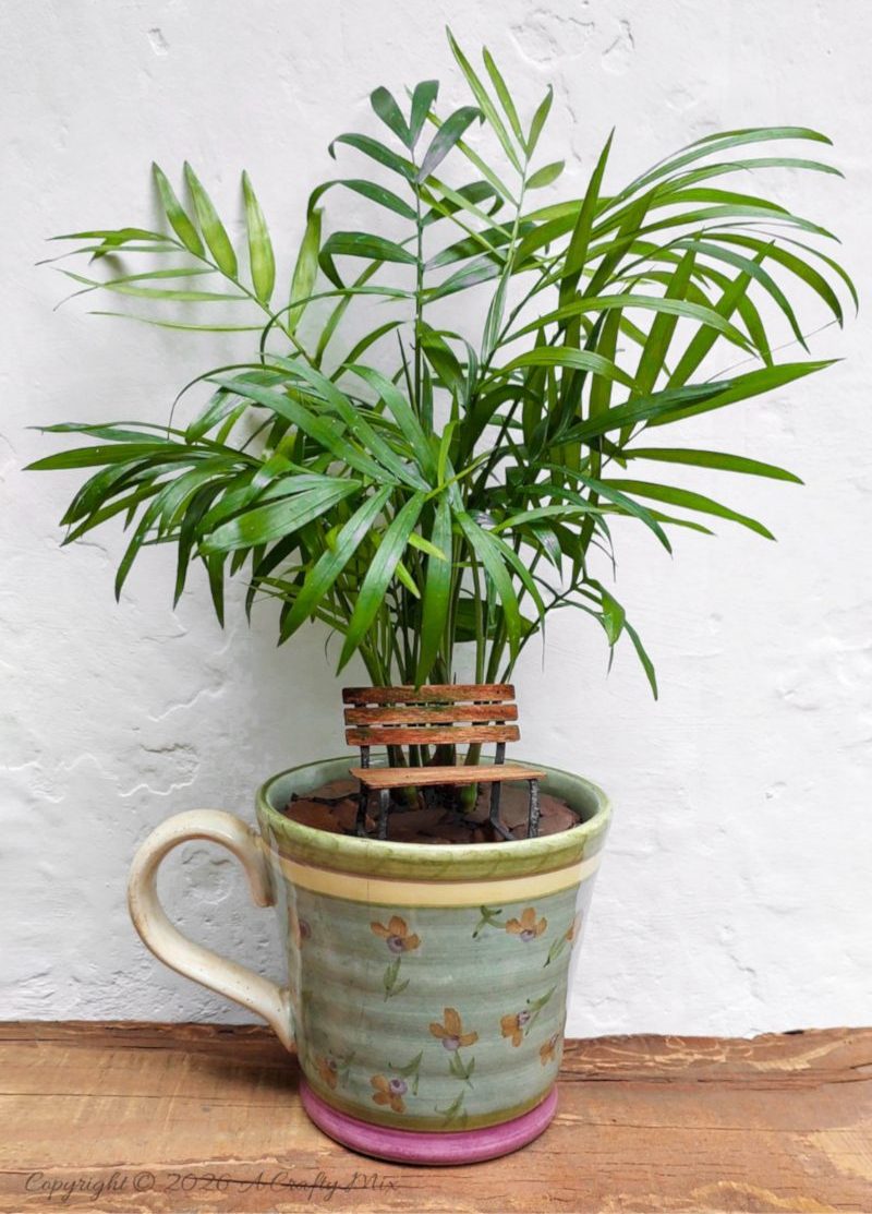 A miniature park in a chipped mug. A small park bench sits under a Love Palm (Chamaedorea elegans).