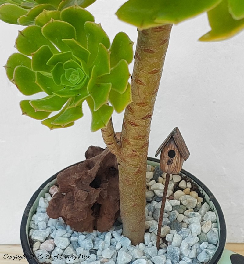 A tall, tree-like houseleek (Aeonium Arboreum) and a tiny birdhouse planted in an enamel mug