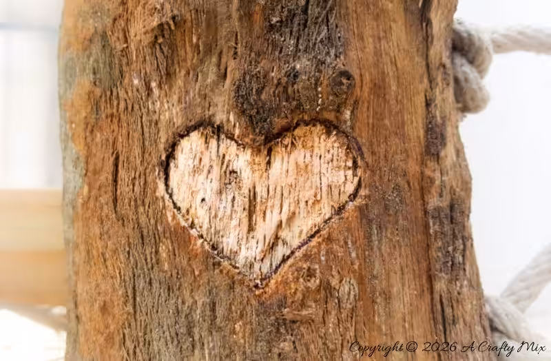 A heart shape carved into a branch mug