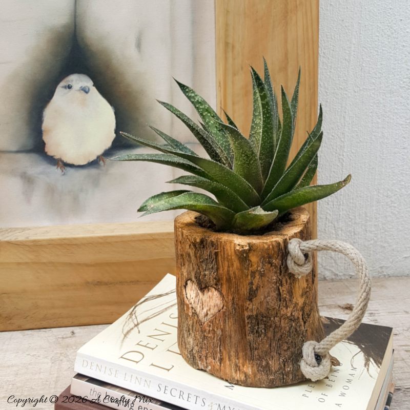 A rustic mug made from a branch with a rope handle