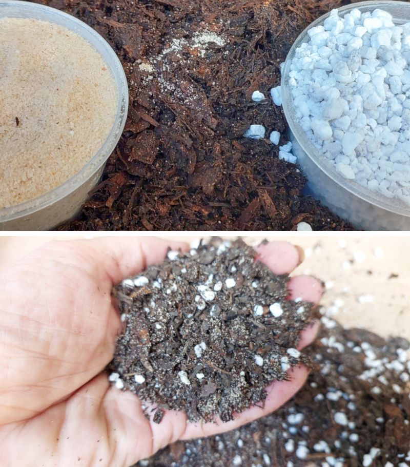 Succulents and cacti are happiest in a mix of 2 parts peat‑free potting soil, 1 part coarse sand or fine gravel, and 1&ndash;2 parts pumice or perlite.