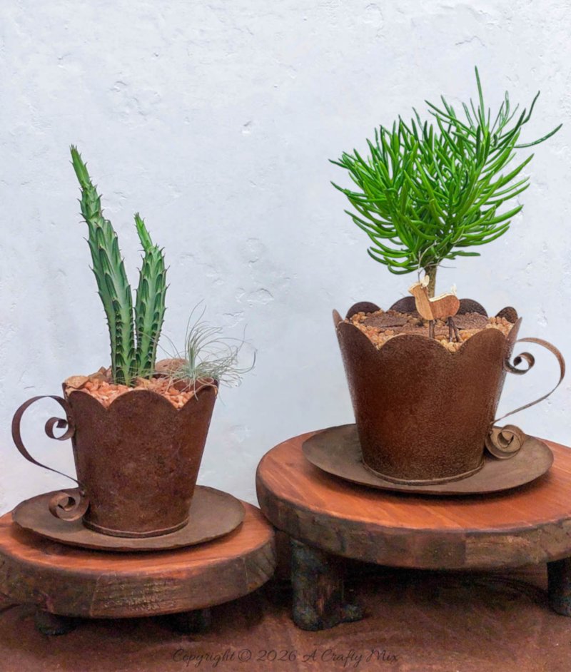 Two metal teacups gardens filled with succulents and air plants