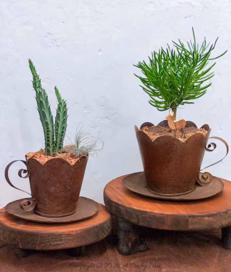 Two metal teacups gardens filled with succulents and air plants