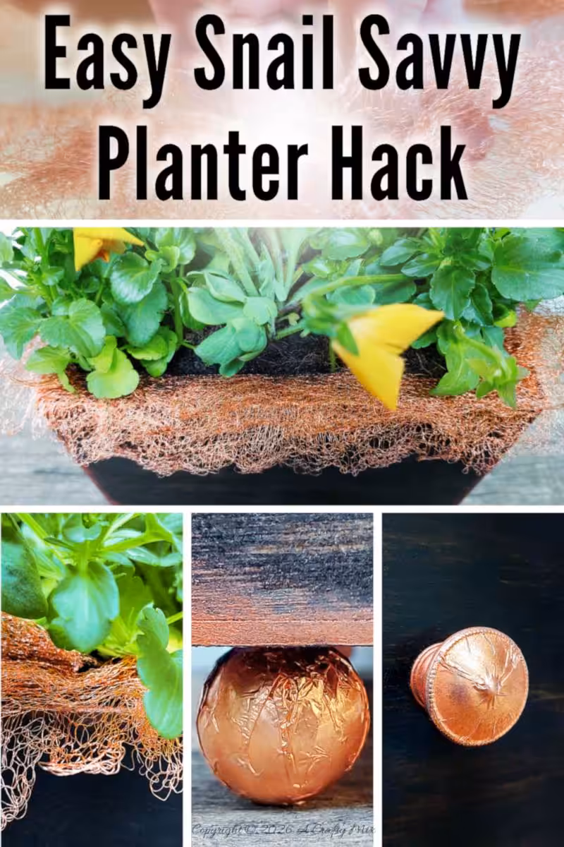 Pinterest collage showing an “Easy Snail Savvy Planter Hack” text overlay with photos of the copper mesh rim, copper feet, and copper knob on the DIY accent planter that helps keep snails away.
