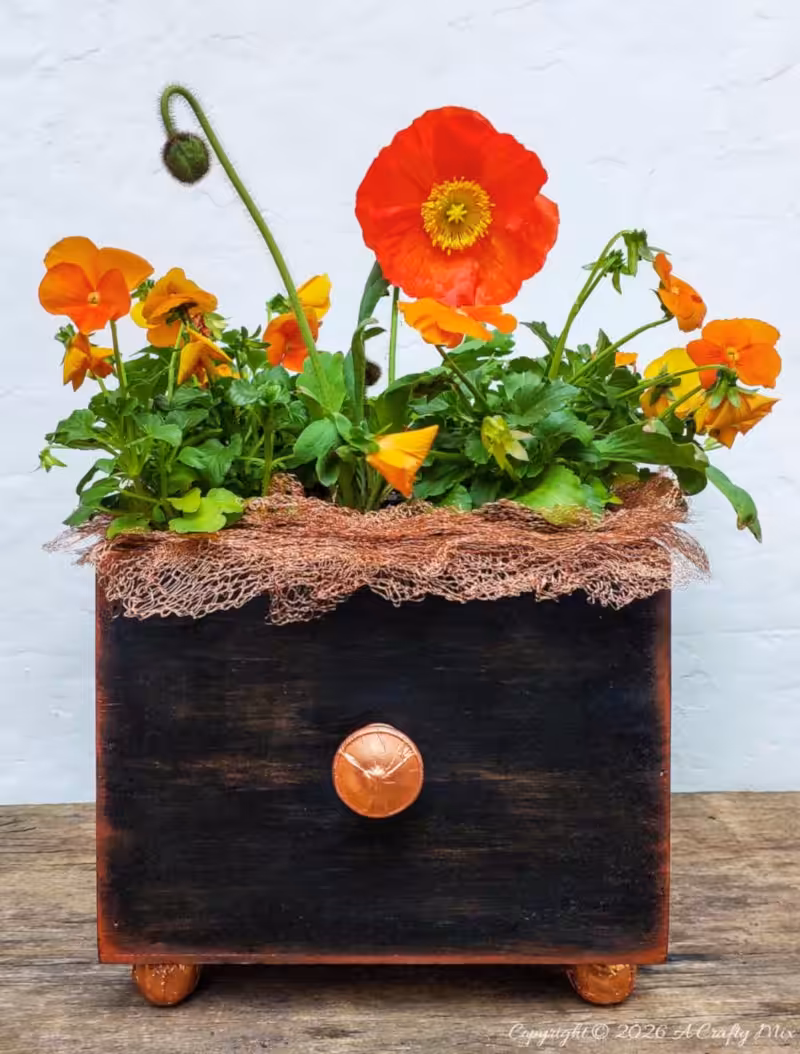 Front view of a square black wooden planter with copper accents and mesh trim, filled with bright orange pansies and a single red poppy.
