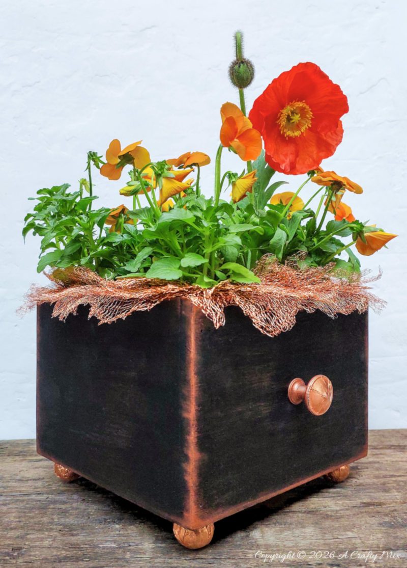 Side view of a square black wooden planter with copper feet, knob, and mesh trim, planted with orange pansies and a tall red poppy.