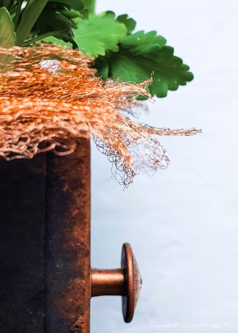 Side view close-up of a rustic black planter with a copper mesh rim and a small copper knob, with green plant leaves above the edge.