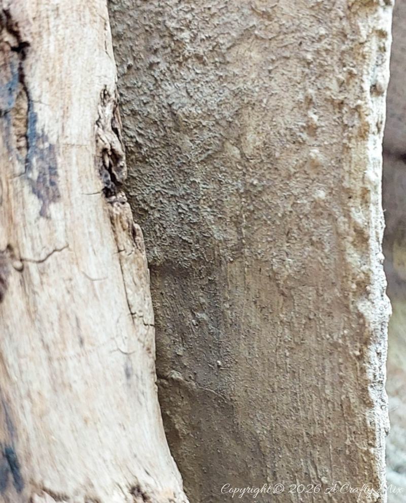 Close-up of the rough, pitted edge of a handmade faux stone cardboard sarcophagus beside weathered driftwood.