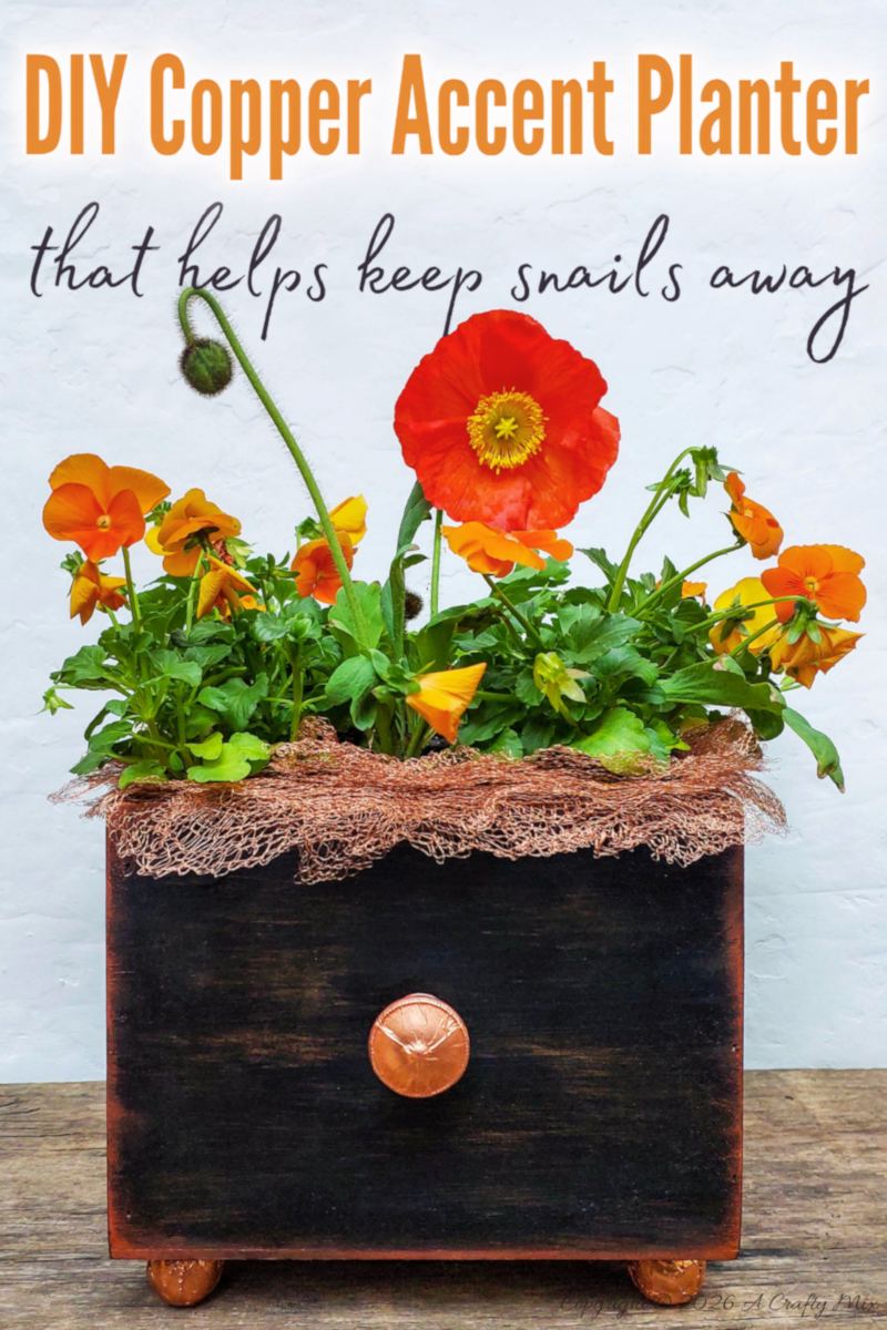 Vertical Pinterest-style image showing a DIY copper accent planter filled with orange pansies and a red poppy, with text that reads &ldquo;DIY Copper Accent Planter that helps keep snails away.&rdquo;