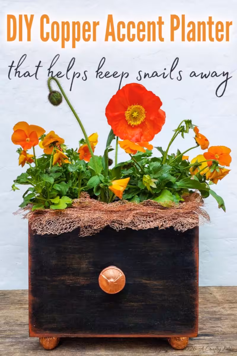 Vertical Pinterest-style image showing a DIY copper accent planter filled with orange pansies and a red poppy, with text that reads “DIY Copper Accent Planter that helps keep snails away.”
