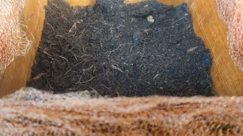A rich soil mixture at the bottom of a wooden planter