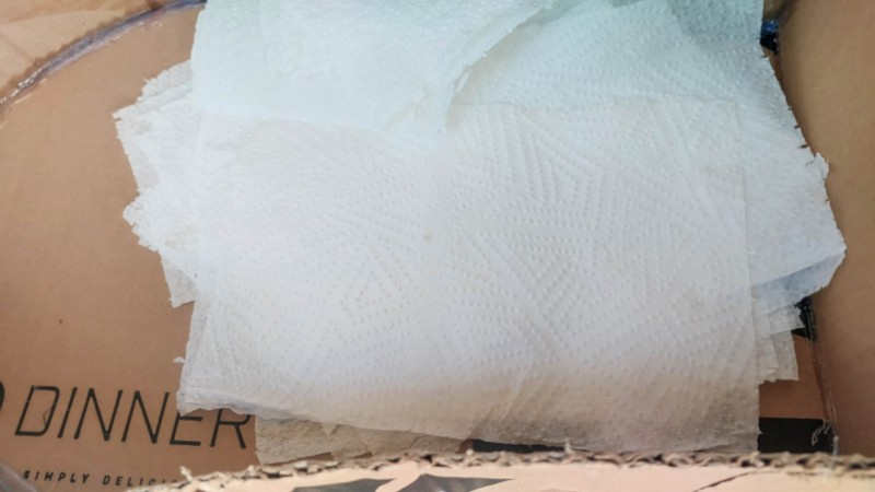 Paper kitchen towels and a cardboard sarcophagus