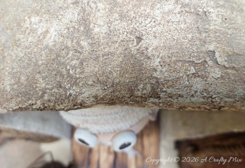 A top down view of the upcycled bottle mummy inside the sarcophagus