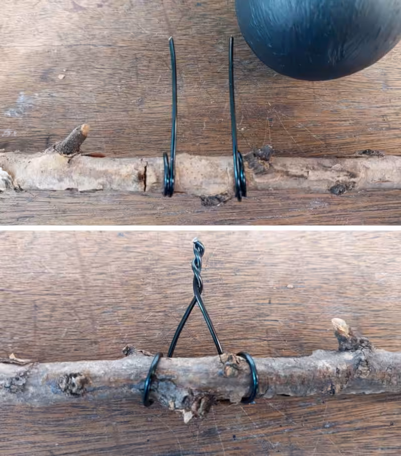 Attach the wire bat legs to a branch