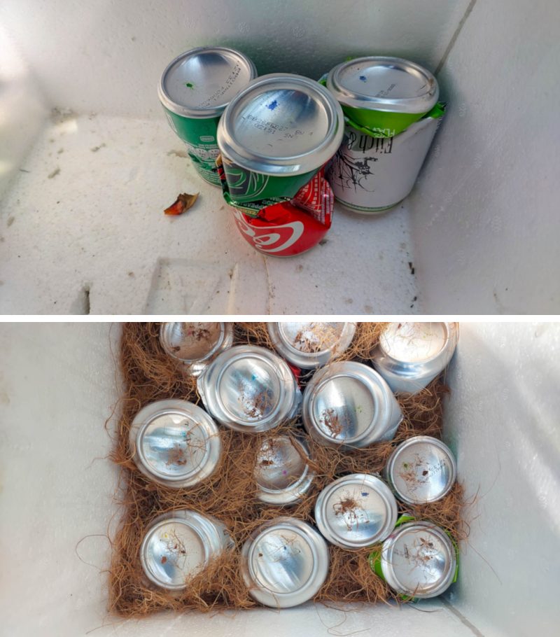 Crushed soda can inside a EPS foam cooler