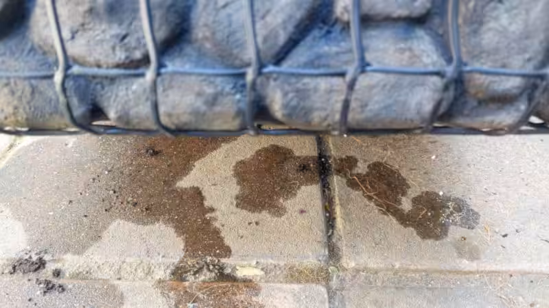 The bottom of a gabion planter with water splatters