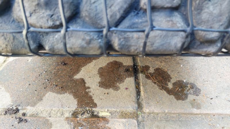 The bottom of a gabion planter with water splatters